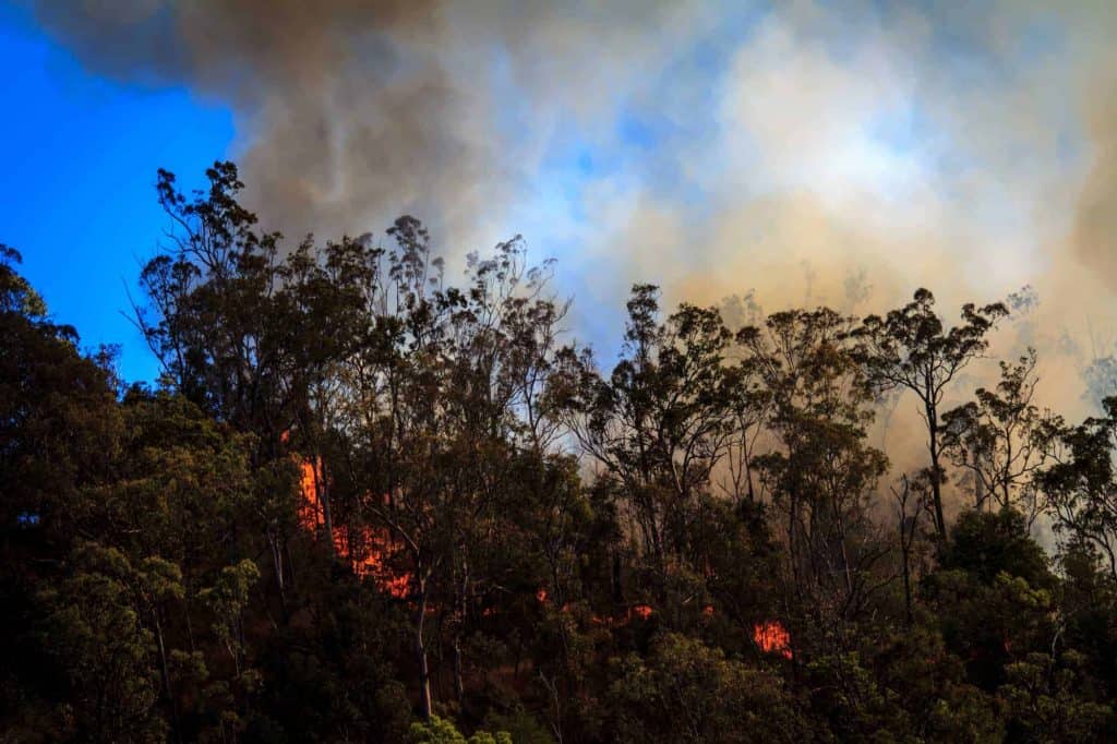 Bushfire Assessment
