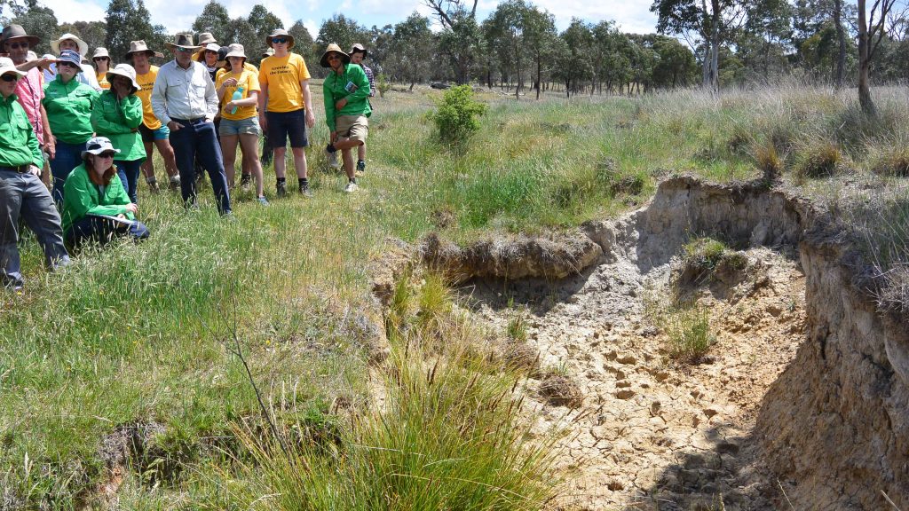 National Soil Judging Competition