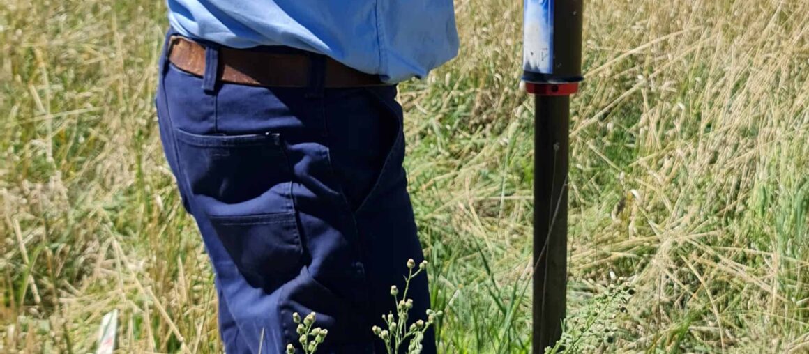 Delivering services in a COVID-safe way